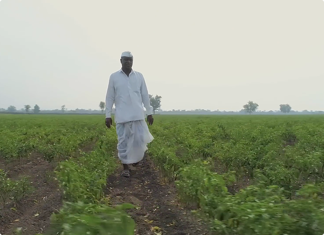 Echoes of Impact: Films for Social Change